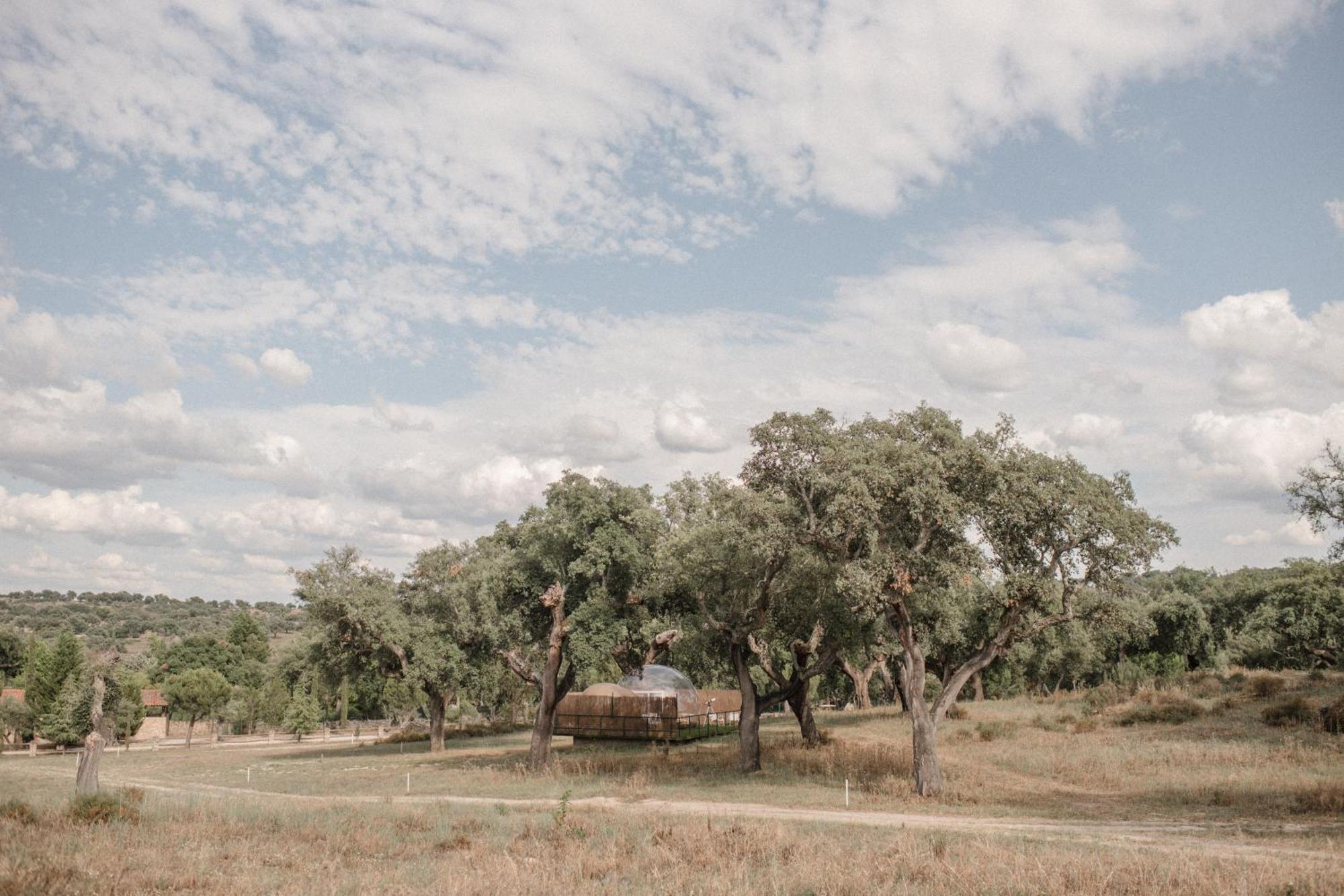 Finca El Cortinal Valencia de Alcántara Eksteriør bilde