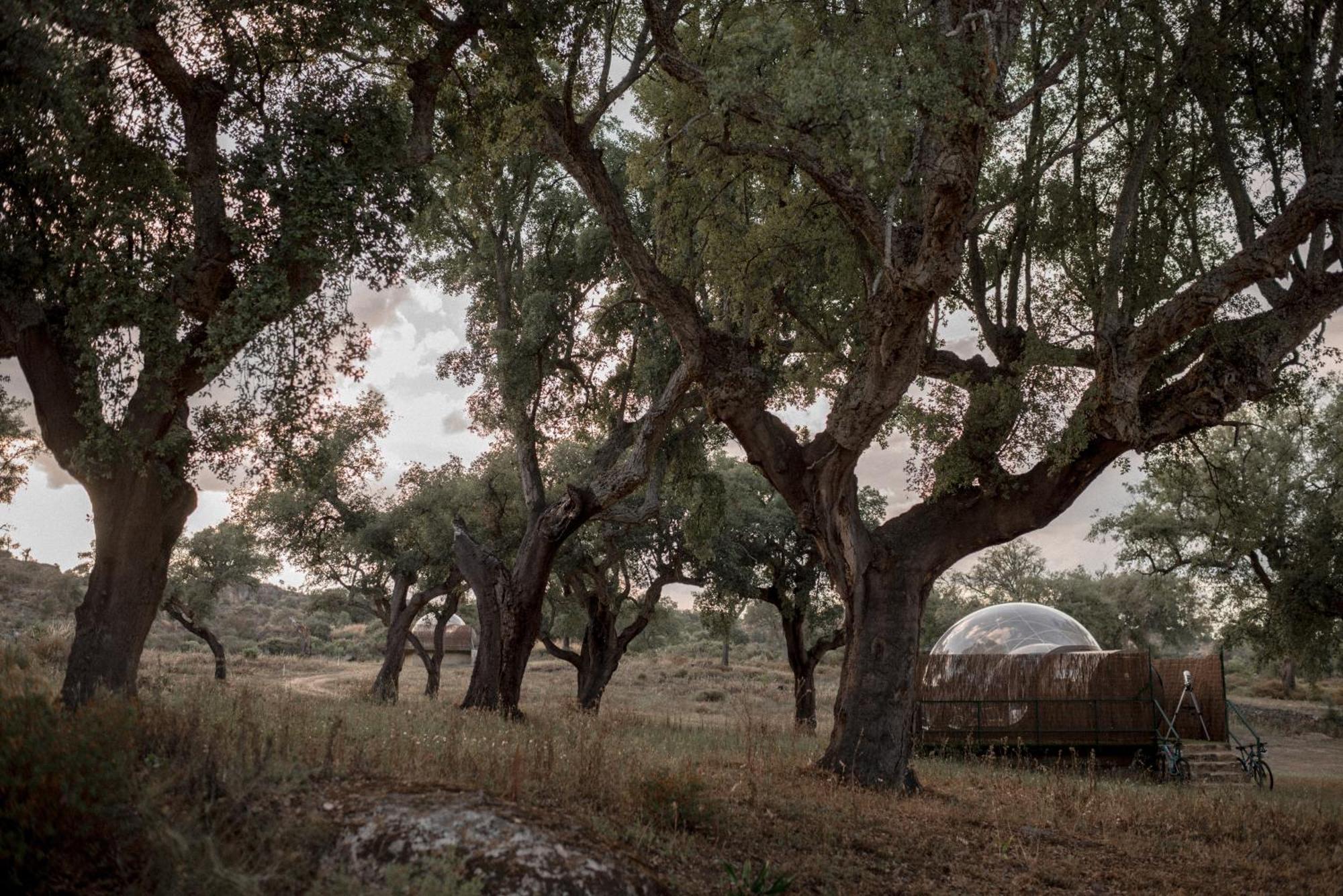 Finca El Cortinal Valencia de Alcántara Eksteriør bilde